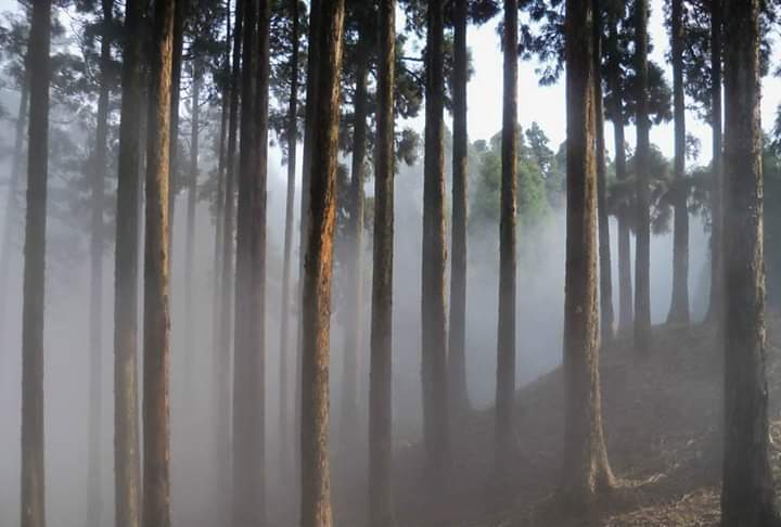 প্রথম বিশ্বযুদ্ধের ইতিহাসের সাক্ষী চিমনি গ্রাম হতেই পারে আপনার উইকএন্ড ডেস্টিনেশন