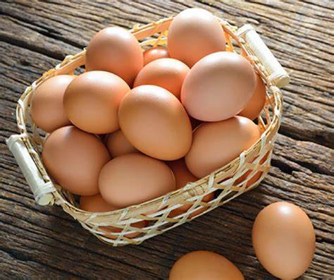 Egg Allergy: আপনার কী ডিম থেকে অ্যালার্জি? জেনে নিন তা থেকে বাঁচার উপায়