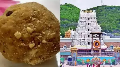 Tirupati Laddu Row: পশুর চর্বি মেশানো হত তিরুপতি মন্দিরের প্রসাদী লাড্ডুতে? সুপ্রিম কোর্ট এই মামলার তদন্তভার দিল সিবিআই ডিরেক্টরকে