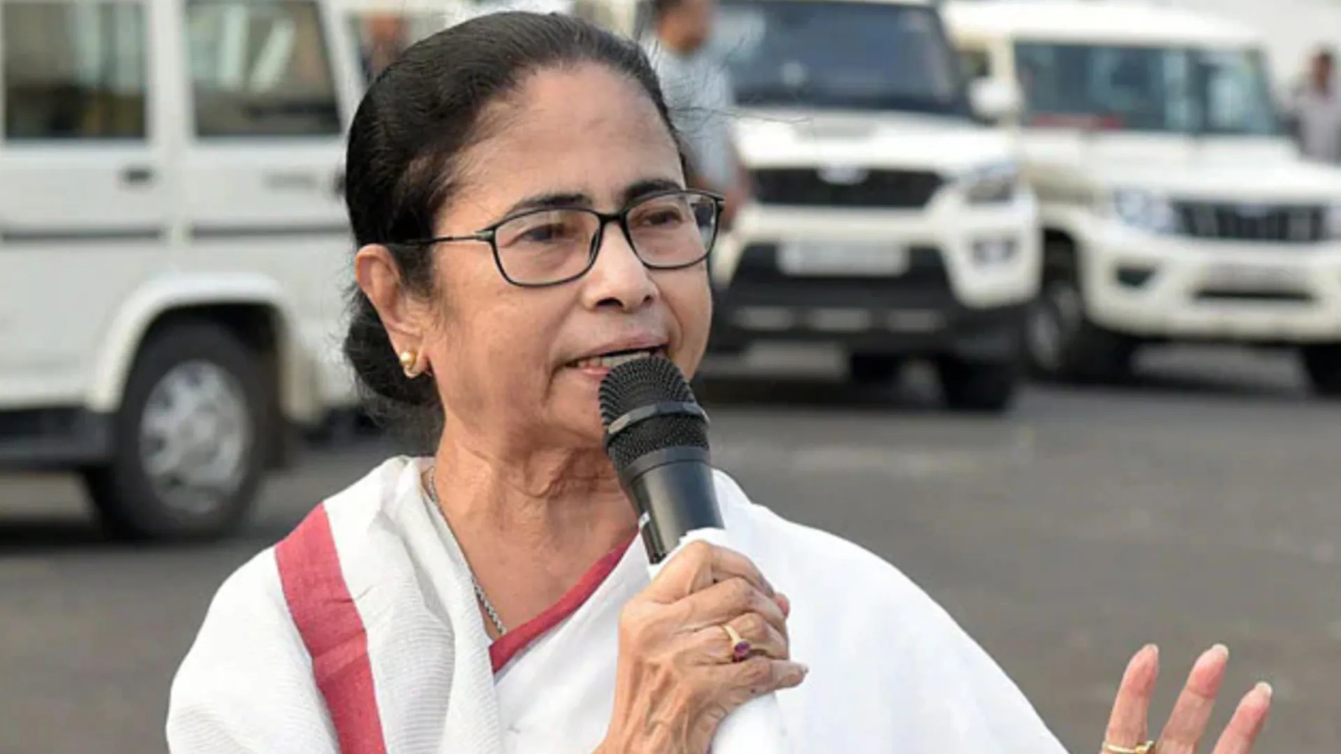 Mamata Banerjee: চিড়িয়াখানায় ঘুরতে ঘুরতে দুই সন্তানের নামকরণ করলেন মমতা, ‘চার্মিং-ডার্লিং‌’- নাম রেখেছেন দুই তুষারচিতার